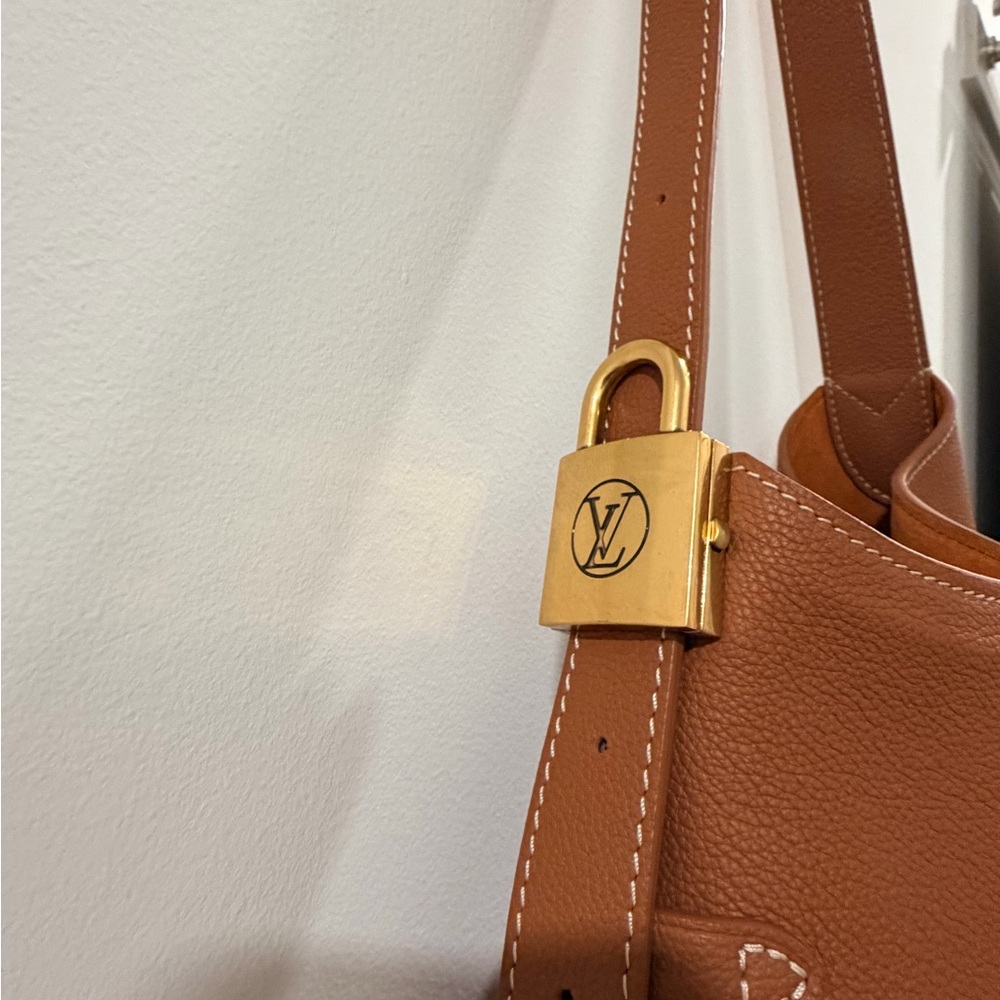 Louis Vuitton Cognac Low Key Hobo PM - Picture 9 of 14
